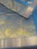 PL BIG BUTTA SAREE